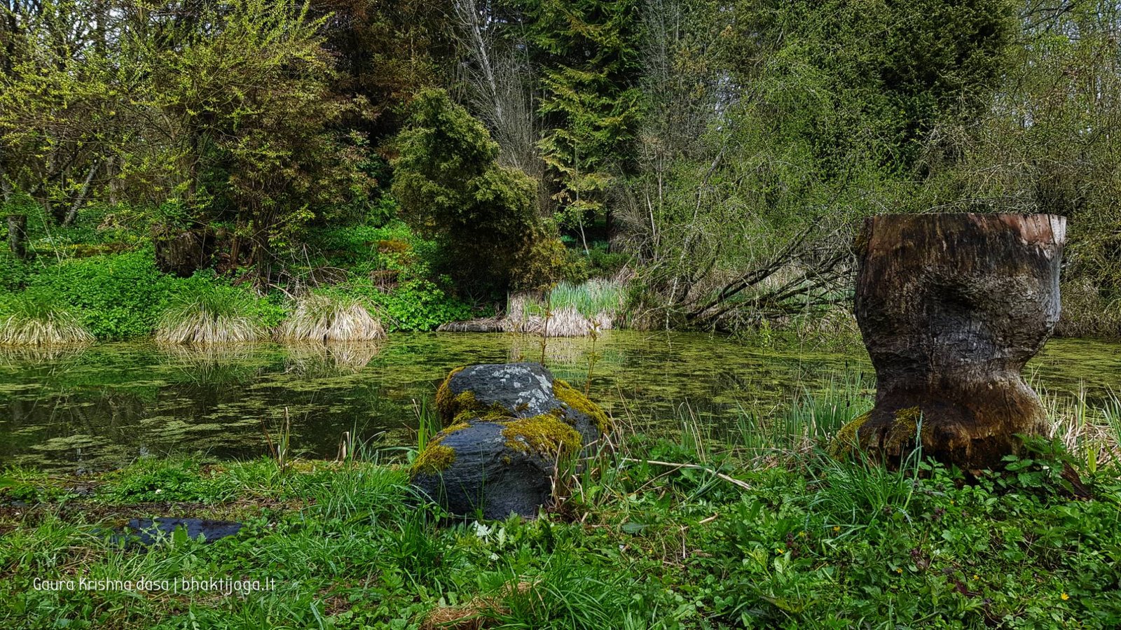  skinderiskio dendrologinis parkas 2021 05 08